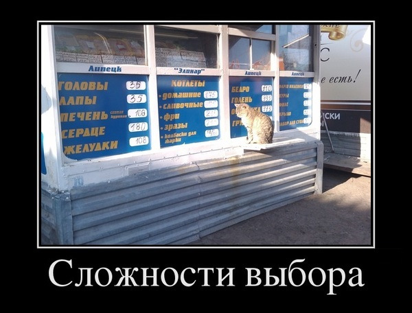 выбор шаров