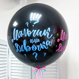 ГЕНДЕРНЫЙ ШАР  ОТ 990 Р.